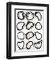 Cell Structure I-Michael Willett-Framed Art Print