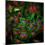 Cell Structure-David Becker-Mounted Premium Photographic Print