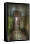 Cell with Metal Door-Nathan Wright-Framed Stretched Canvas