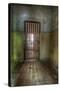 Cell with Metal Door-Nathan Wright-Stretched Canvas