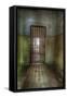 Cell with Metal Door-Nathan Wright-Framed Stretched Canvas