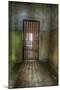 Cell with Metal Door-Nathan Wright-Mounted Photographic Print