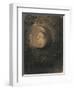 Cell-Odilon Redon-Framed Premium Giclee Print