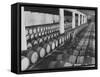 Cellar of Maturing Wines as Wine Maker Tests with Pipette-Carlo Bavagnoli-Framed Stretched Canvas