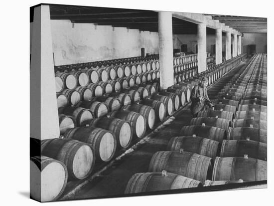 Cellar of Maturing Wines as Wine Maker Tests with Pipette-Carlo Bavagnoli-Stretched Canvas