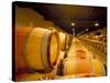 Cellars of Chateau Lynch Bages, Pauillac, Aquitaine, France-Michael Busselle-Stretched Canvas