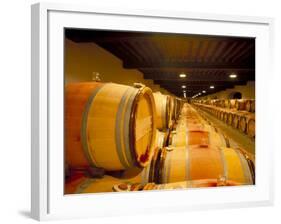 Cellars of Chateau Lynch Bages, Pauillac, Aquitaine, France-Michael Busselle-Framed Photographic Print