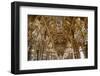 Celling of the Grand Foyer Opera, Palais Garnier, France-Godong-Framed Photographic Print