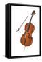 Cello and Bow, Stringed Instrument, Musical Instrument-Encyclopaedia Britannica-Framed Stretched Canvas