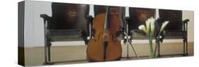 Cello Leaning on Attached Chairs-null-Stretched Canvas