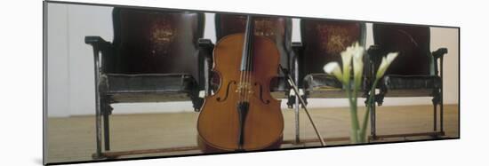 Cello Leaning on Attached Chairs-null-Mounted Photographic Print