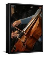 Cello Player, Geneva, Switzerland, Europe-Godong-Framed Stretched Canvas