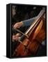 Cello Player, Geneva, Switzerland, Europe-Godong-Framed Stretched Canvas