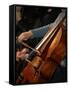 Cello Player, Geneva, Switzerland, Europe-Godong-Framed Stretched Canvas