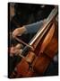 Cello Player, Geneva, Switzerland, Europe-Godong-Stretched Canvas