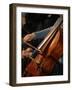 Cello Player, Geneva, Switzerland, Europe-Godong-Framed Photographic Print