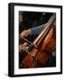 Cello Player, Geneva, Switzerland, Europe-Godong-Framed Photographic Print