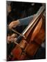 Cello Player, Geneva, Switzerland, Europe-Godong-Mounted Photographic Print