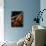 Cello Player, Geneva, Switzerland, Europe-Godong-Photographic Print displayed on a wall