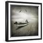 Cello Sophia-Moises Levy-Framed Photographic Print