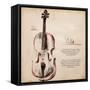 Cello-Hakimipour-ritter-Framed Stretched Canvas
