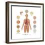 Cells of the Body-Gwen Shockey-Framed Art Print