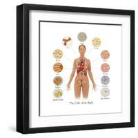 Cells of the Body-Gwen Shockey-Framed Art Print