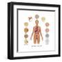 Cells of the Body-Gwen Shockey-Framed Art Print