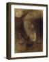 Cellular Face, 1895-Odilon Redon-Framed Giclee Print