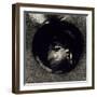 Cellule Auriculaire, 1893 (Litho on Chine Appliqué Paper)-Odilon Redon-Framed Giclee Print