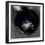 Cellule Auriculaire, 1893 (Litho on Chine Appliqué Paper)-Odilon Redon-Framed Giclee Print