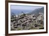 Celtic Castro of Santa Tegra, Pontevedra, Galicia, Spain, Europe-Michael Snell-Framed Photographic Print