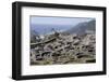 Celtic Castro of Santa Tegra, Pontevedra, Galicia, Spain, Europe-Michael Snell-Framed Photographic Print