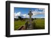 Celtic Cross Overlooking the Green Fields, Athenry, County Galway, Ireland-null-Framed Photographic Print