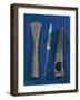 Celtic Iron Axes and Spears, from Excavations at Illerup, Denmark-null-Framed Giclee Print