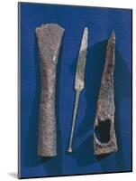 Celtic Iron Axes and Spears, from Excavations at Illerup, Denmark-null-Mounted Giclee Print