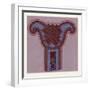 Celtic Ornament-null-Framed Giclee Print