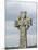 Celtic Style Cross in Graveyard, Connacht, Republic of Ireland (Eire)-Gary Cook-Mounted Photographic Print