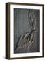 Cement Autumn 1336-Gordon Semmens-Framed Photographic Print