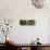 Cement Creek-Wayne Bradbury-Stretched Canvas displayed on a wall