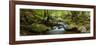 Cement Creek-Wayne Bradbury-Framed Photographic Print