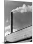 Cement Works Chimney-null-Mounted Photographic Print