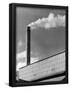 Essential Black