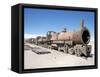 Cementerio De Trenes, Steam Engine Relics in Desert, Uyuni, Southwest Highlands, Bolivia-Tony Waltham-Framed Stretched Canvas