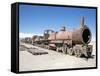 Cementerio De Trenes, Steam Engine Relics in Desert, Uyuni, Southwest Highlands, Bolivia-Tony Waltham-Framed Stretched Canvas