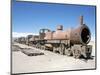 Cementerio De Trenes, Steam Engine Relics in Desert, Uyuni, Southwest Highlands, Bolivia-Tony Waltham-Mounted Photographic Print