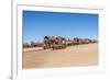 Cementerio De Trenes (Train Cemetery), Salar De Uyuni, Bolivia-Elzbieta Sekowska-Framed Photographic Print