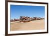 Cementerio De Trenes (Train Cemetery), Salar De Uyuni, Bolivia-Elzbieta Sekowska-Framed Photographic Print