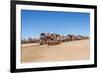 Cementerio De Trenes (Train Cemetery), Salar De Uyuni, Bolivia-Elzbieta Sekowska-Framed Photographic Print