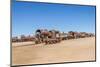 Cementerio De Trenes (Train Cemetery), Salar De Uyuni, Bolivia-Elzbieta Sekowska-Mounted Photographic Print